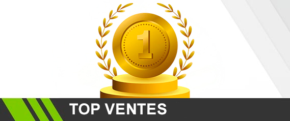Carabine a plomb - Top ventes