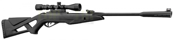 Gamo Whisper IGT Finitions