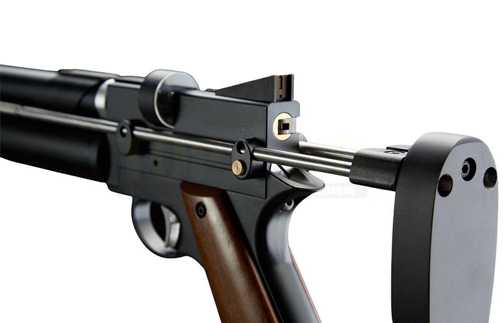 Pistolet Artemis PP750 en action